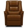 Bettino Electric Lift & Rise Mobility Reclining Chair Leather Category 15(S) Brown Front