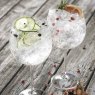 Galway Crystal Elegance Gin & Tonic Glasses (Set of 2) Lifestyle