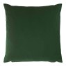 Evans Lichfield Winters Flowers Peony Cushion 43cm x 43cm Fuchia & Green