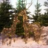 LED Outdoor Wicker Deer 135cm Warm White Lifestyle