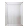 Gallery Baskin Rectangular Wall Mirror Small Champagne