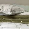 Christy's Hampton Reversible Super King Duvet Cover Set Jade Close Up