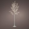 7.2ft/220cm Micro LED Birch Christmas Tree With Warm White Lights Dark