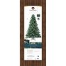 7ft/210cm Trondheim Spruce Christmas Tree Green Packaging
