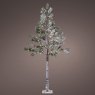 6ft/180cm LED Snowy Pine Christmas Tree Green With Warm White Lights Dark