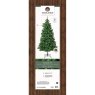 7ft/210cm Kenmore Fir Christmas Tree Green Packaging