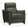 Selva Armchair Leather Category 15(S) Dimensions