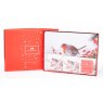 Newgrange Robin Placemats & Coasters (Set Of 6) Box