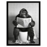 Gorilla Toilet 32cm x 42cm Picture By Moonshine Prints Black Frame