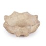 Lakota Shell Bowl Small Sand