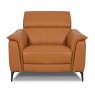 Davos Armchair Leather Category 20 BX/NW
