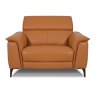 Davos Large Armchair Leather Category 20 BX/NW