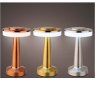 LED Table Light Warm White Gold or Silver or Copper 19.5cm (Choice of 3) Dark