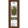 7ft/210cm Galloway Spruce Pre-Lit Christmas Tree Green 3