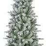 7ft/210cm Killington Frosted Fir Tree 4