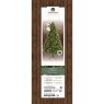 8ft/240cm Bromont Fir Christmas Tree Pre-Lit Green 2