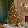 7ft/210cm Grandis Fir Christmas Tree Green 2