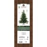 7ft/210cm Grandis Fir Christmas Tree Green 4