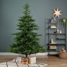 7ft/210cm Grandis Fir Christmas Tree Green 5