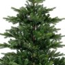 7ft/210cm Grandis Fir Christmas Tree Green 6