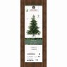 8ft/240cm Grandis Fir Christmas Tree Green