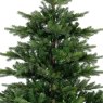 8ft/240cm Grandis Fir Christmas Tree Green close up