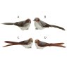 Festive Robin Bird On Clip Brown Or Orange (Set of 2) (Choice of 2) 2