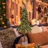 1.5ft/45cm Gnome Mini Christmas Tree With Glitter & Grey Base Lifestyle