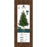 8ft/240cm Nordmann Fir Christmas Tree Green 3