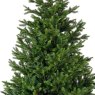 8ft/240cm Nordmann Fir Christmas Tree Green 4
