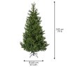 8ft/240cm Nordmann Fir Christmas Tree Green 7