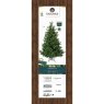 7ft/210cm Nordmann Fir Christmas Tree Green 3
