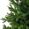 7ft/210cm Nordmann Fir Christmas Tree Green 5