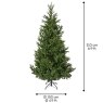 7ft/210cm Nordmann Fir Christmas Tree Green 7