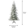 7ft/210cm Balsamea Snowy Fir Christmas Tree  7