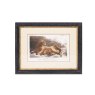 Mindy Brownes Lion 46cm x 36cm Picture Black Frame
