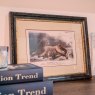 Mindy Brownes Lion 46cm x 36cm Picture Black Frame Close Up