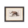 Mindy Brownes Elephant 46cm x 36cm Picture Black Frame