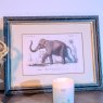 Mindy Brownes Elephant 46cm x 36cm Picture Black Frame Lifestyle