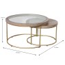 Ellen Coffee Tables (Set of 2) Gold Dimensions