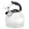 Stove Top Whistling Kettle 2.2L Open