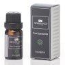 Newgrange Living Eucalyptus Essential Oils 10ml