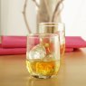 Tulip Mixer Glasses (Set Of 4) Lifestyle