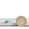 Apollo 2683 Rug 200cm x 290cm Grey/Green Thickness