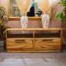 Rachel 2 Drawer TV/Entertainment Unit Ginger Teak Lifestyle
