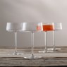 Galway Crystal Alto Cocktail/Martini Glass (Set Of 4) Lifestyle