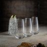 Belleek Tivoli Hi-Ball Glass (Set Of 4) Lifestyle