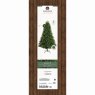 8ft/240cm Bromont Fir Christmas Tree Green