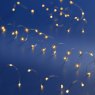 Micro LED String Lights Classic Warm White 195cm Close up