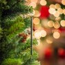 Scentsicles White Winter Fir In Bottle Close up